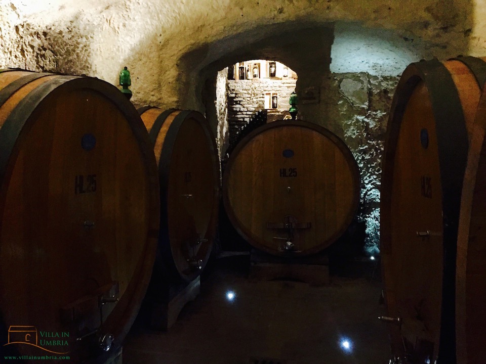 Winetasting Montepulciano Gattavecchi