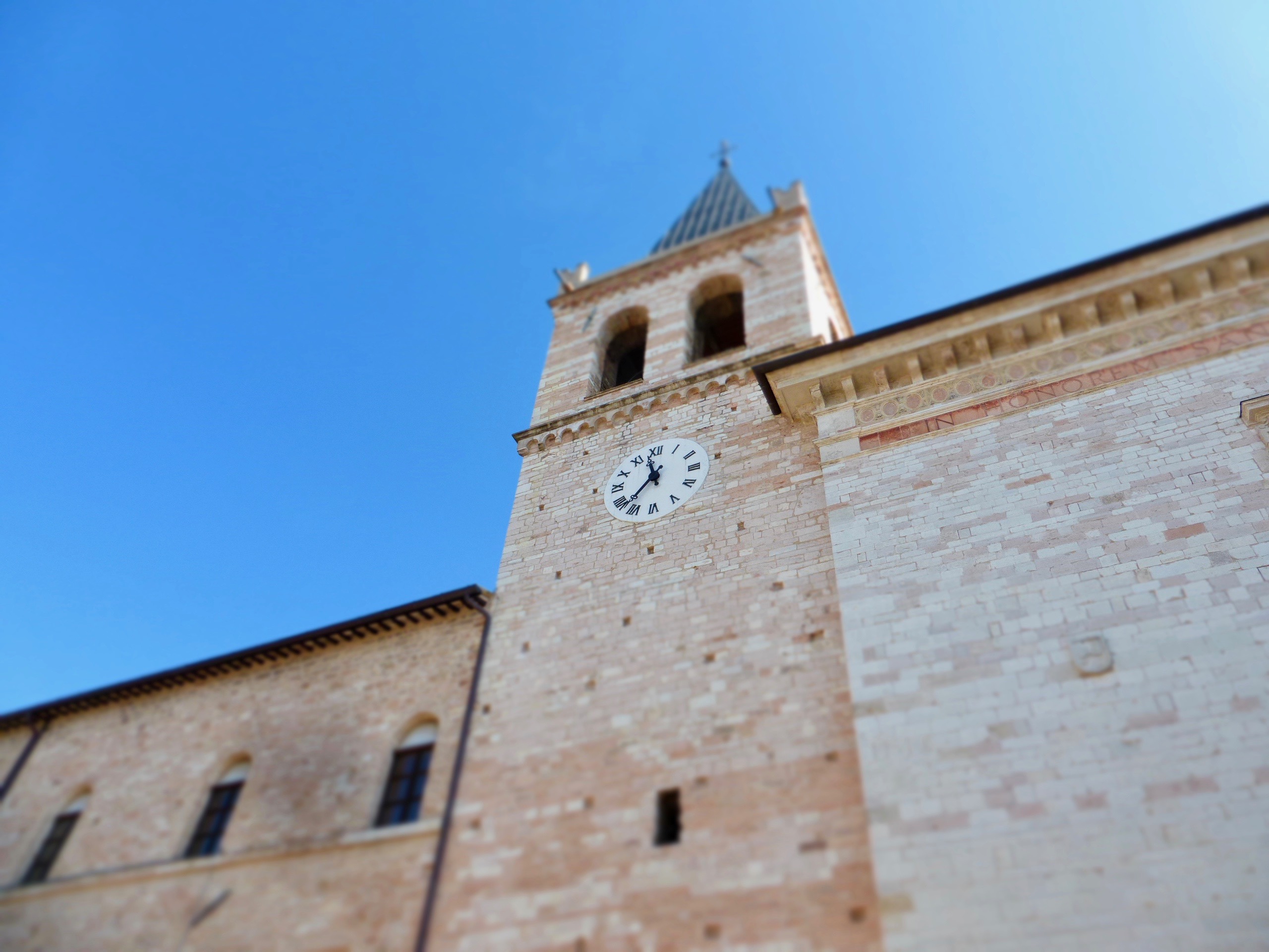 Olijfolie proeven in Spello