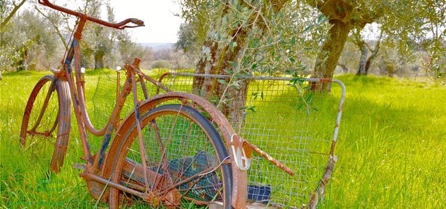Umbrië blog | Wat je al niet tegen komt tijdens een wandeling.