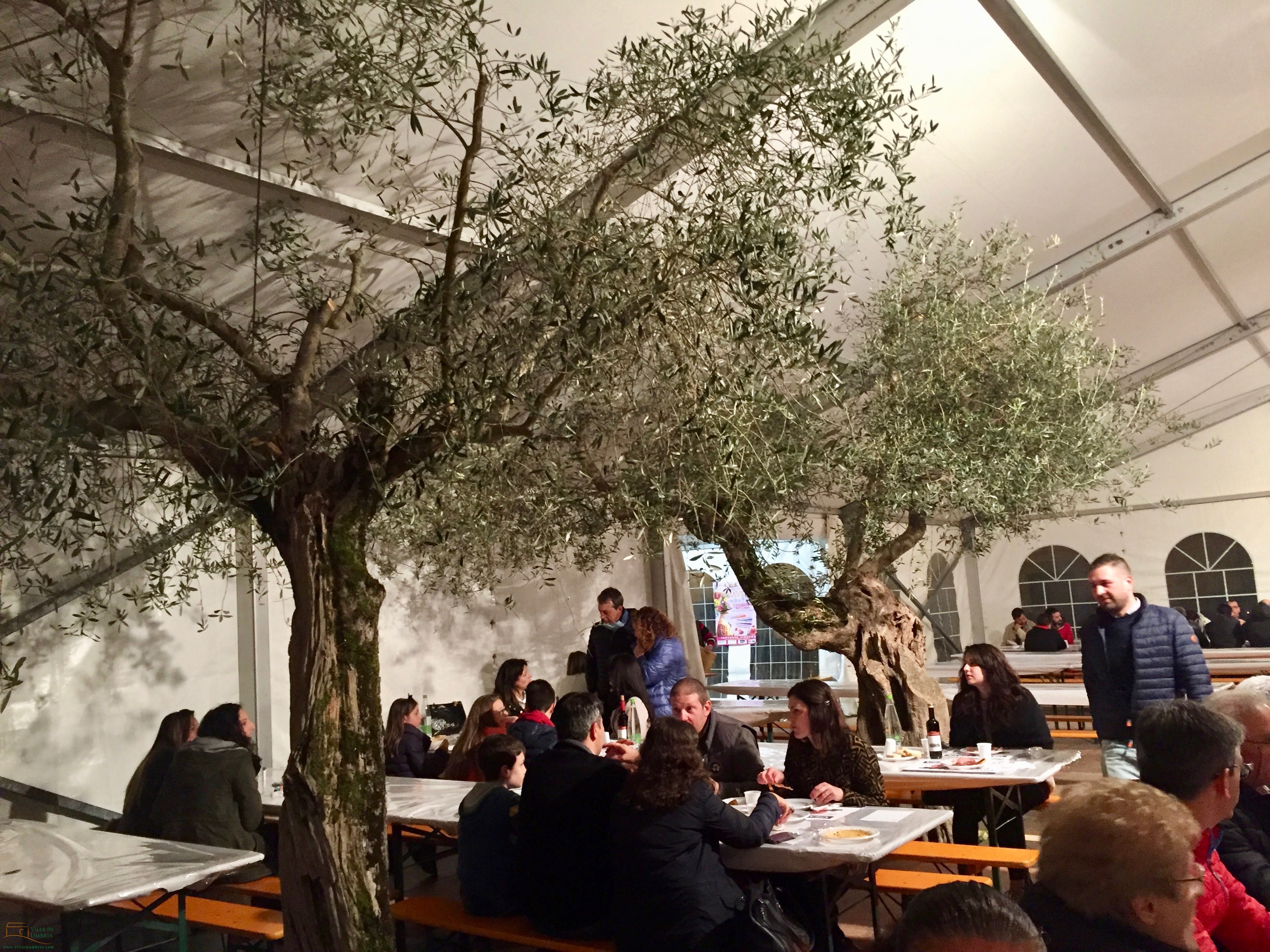 Festa della Primavera in Castiglione del Lago