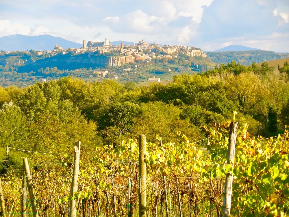 A good restaurant in Orvieto Umbria