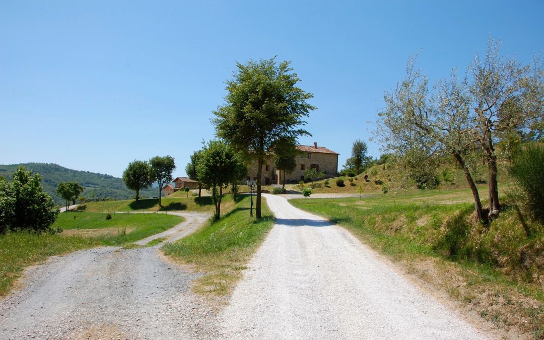 Ristorante Pizzeria Archibugio in Lugnano