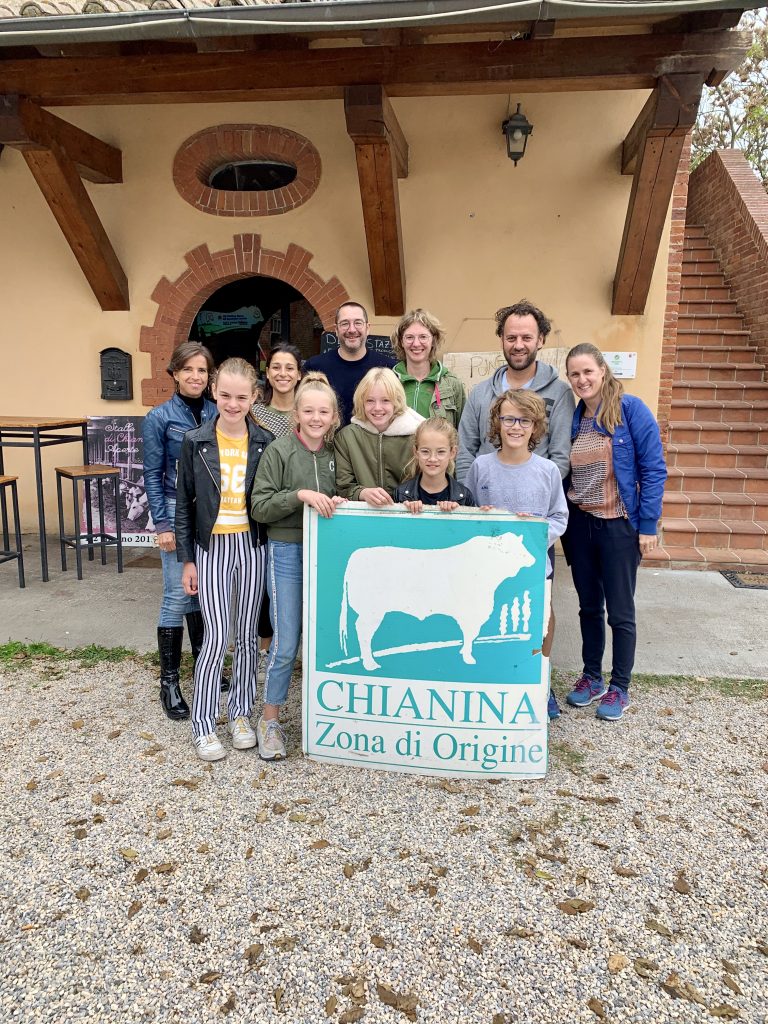 Chianina en Cinta Senese tour in Toscane