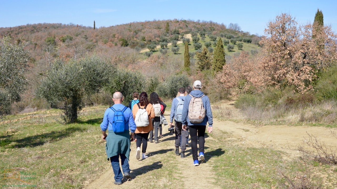 The best activities in Umbria during corona: walking!